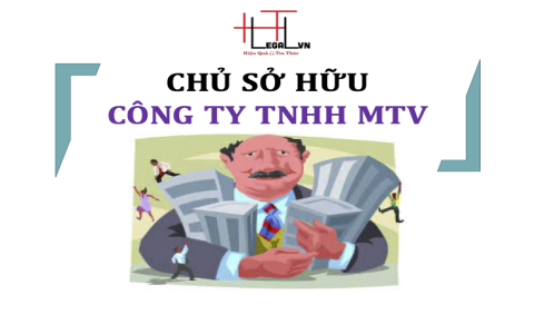 (HT) Quy định pháp luật về Chủ sở hữu công ty TNHH MTV ? (Công ty Luật tại quận Tân Bình)